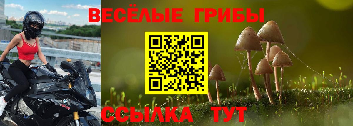 Галлюциногенные грибы мицелий Нягань